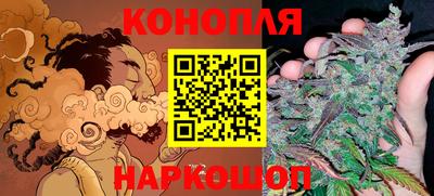тгк Канаш
