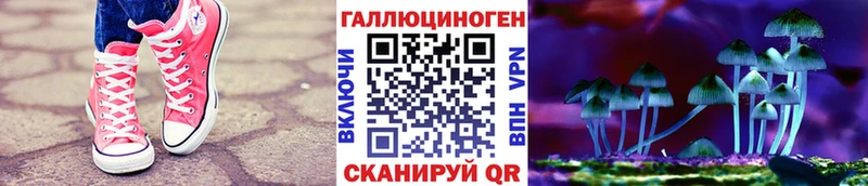 mega как зайти Горячий Ключ Псилоцибиновые грибы GOLDEN TEACHER